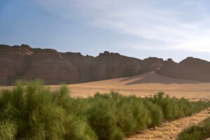 AlUla Peregrina Supply Chain Expands Global Footprint, Bridging the Desert of Arabia's Heritage with the Future of Natural and Sustainable Beauty and Health 