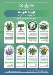 أمانة الشرقية تُطلق مبادرة “منازلنا خضراء كشرقيتنا الخضراء” بالشراكة مع تطبيق “جاهز” دعمًا للاستدامة البيئية وجودة الحياة