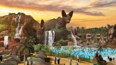 "أليك" تحقق معدل نمو سنوي لافت وصل 150٪ في السعودية وتخططٌ لمزيد من الاستثمار والتوسع في 2024