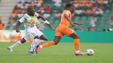 كأس أمم أفريقيا : جنوب أفريقيا تفوز على الرأس الأخضر وتتأهل للدور نصف النهائي