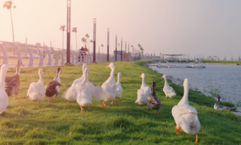 أمانة الشرقية تكشف عن جهودها للتحول لمدن مزدهرة وحيوية ومستدامة