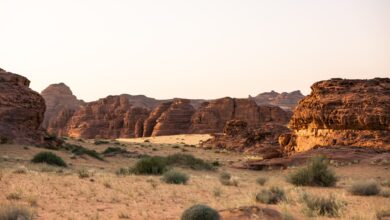 3 Unique Experiences to Celebrate Saudi National Day