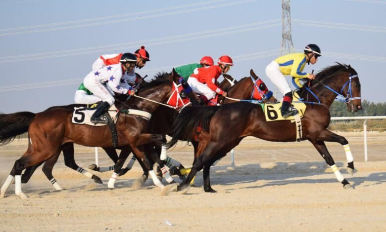 انطلاق منافسات سباقات الخيل في ميدان الفروسية بالدمام الجمعة المقبل