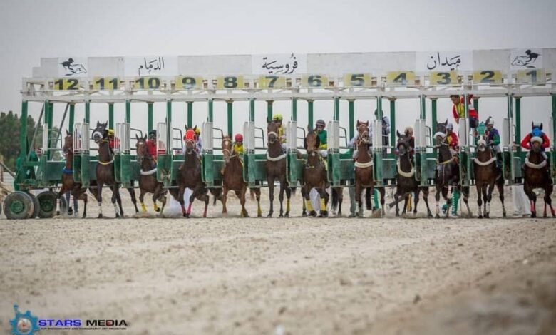 31 جواداً من ميدان الدمام يتأهبون للتأهل للمشاركة في أشواط أبطال الميادين بميدان الملك عبدالعزيز بالرياض