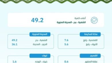"وزارة البيئة": المدينة المنورة تسجّل أعلى كمية أمطار بـ 49,2 ملم