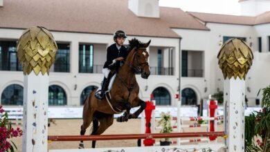 Equestrian Excellence Takes Center Stage as 12th FBMA International Show Jumping Cup gets underway