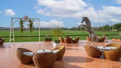 Kick-Start Your 2025 with Exceptional Dining and Entertainment at Al Habtoor Polo Resort