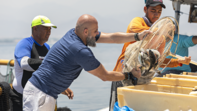 Warner Bros. Discovery Partners with Fujairah Holding for New Series "Arabian Shores"
