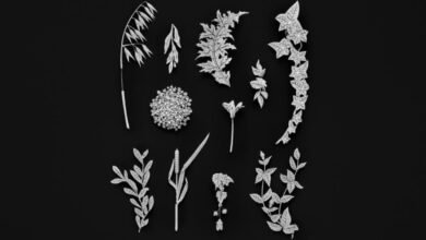 histoire de style 2025 مجموعة المجوهرات الراقية