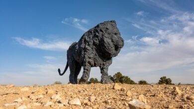 "الرياض آرت" بالتعاون مع السفارة الإيطالية يعلن عن اكتمال توزيع منحوتات