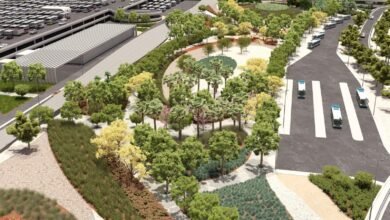 Zayed International Airport Landscaping Project Sets Benchmark for Sustainable Design in the UAE