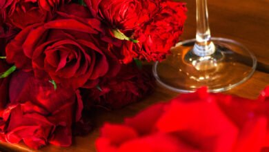 Experience Ultimate Romance at Rixos Premium Dubai This Valentine’s Day