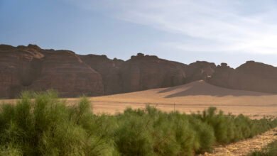 AlUla Peregrina Supply Chain Expands Global Footprint, Bridging the Desert of Arabia's Heritage with the Future of Natural and Sustainable Beauty and Health 