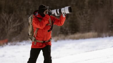 سوني الشرق الأوسط وأفريقيا تطلق أول عدسة G Lens™ فائقة التقريب بمدى 800 مم (FE 400-800mm F6.3-8 G OSS)