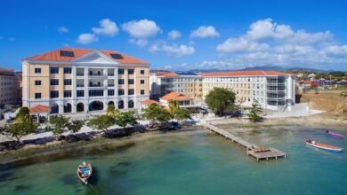 Empowering Future Female Doctors: Success Tips from SGU Alumnae on International Women’s Day