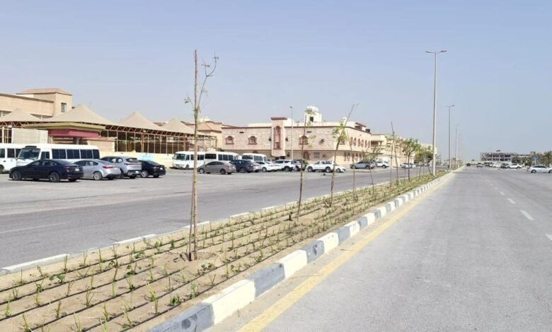بلدية الجبيل تنتهي من تطوير الجزيرة الوسطية بحي الحمراء بطول 1000 متر