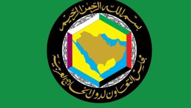 البيان المشترك لقمة مجلس التعاون لدول الخليج العربية، ورابطة دول جنوب شرق آسيا (الآسيان)، وجمهورية الصين الشعبية 