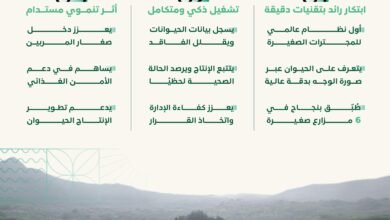 ريف السعودية