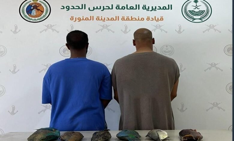 حرس الحدود بمنطقة المدينة المنورة