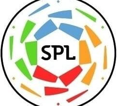 رابطة دوري المحترفين