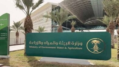 البيئة
