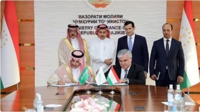 الصندوق السعودي للتنمية