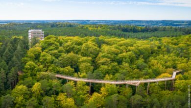 ألمانيا تدعو زوّارها لاكتشاف جمال بحيراتها ومناظرها الطبيعية هذا الصيف