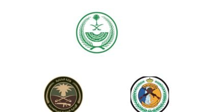 ضبط 35 مخالفًا لنظام أمن الحدود بحوزتهم أكثر من 500 كجم من المخدرات في عسير وجازان