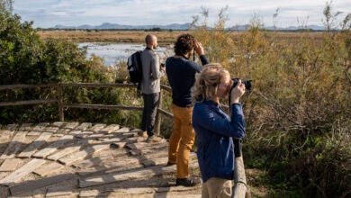 Mallorca, natural magic 365 days a year 