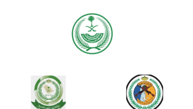 الجهات الأمنية تطيح بمخالفين لنظام أمن الحدود ومروجين للمخدرات في عمليات متفرقة بعسير وجازان