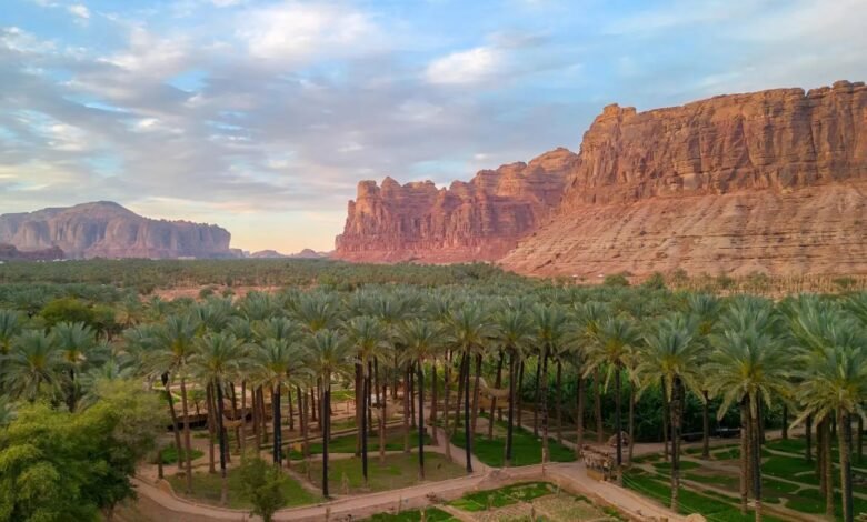 جامعة طيبة تنظم فعالية "حوِّل مزرعتك إلى وجهة سياحية" ضمن موسم تمور العُلا