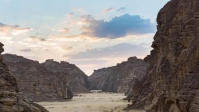 معرض صحراء X العُلا يعود بنسخته الرابعة في 2026 بأعمالٍ إبداعية تُعيد اكتشاف الصحراء