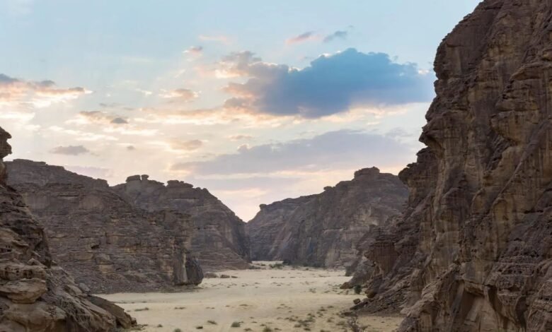 معرض صحراء X العُلا يعود بنسخته الرابعة في 2026 بأعمالٍ إبداعية تُعيد اكتشاف الصحراء