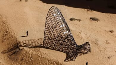 صحراء X العُلا 2026 تفتح أبوابها للزوار بأعمال فنية إبداعية