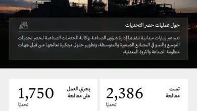 وزارة الصناعة والثروة المعدنية تحصر تحديات النمو والتوسّع في 3,825 مصنعًا خلال 2025