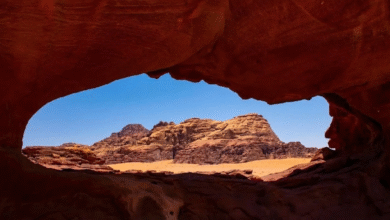 وزارة السياحة: نمو كبير في عدد السيّاح المحليين بنسبة 16% في الربع الأول من 2026